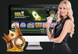 fish game and bingo entertainment options on mines game